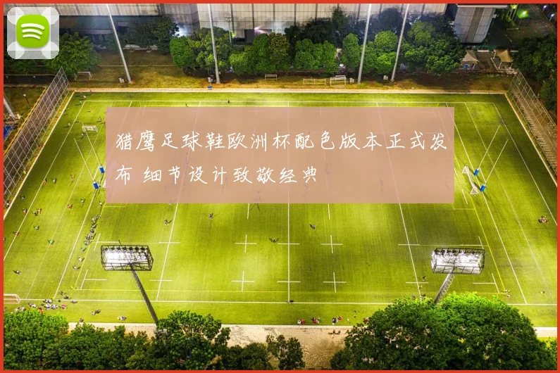 猎鹰足球鞋欧洲杯配色版本正式发布 细节设计致敬经典