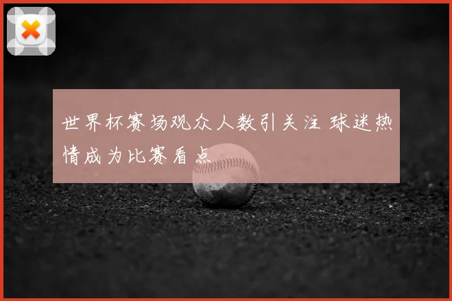 世界杯赛场观众人数引关注 球迷热情成为比赛看点
