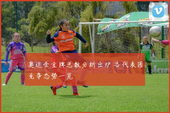 奥运会金牌总数分析出炉 各代表团竞争态势一览