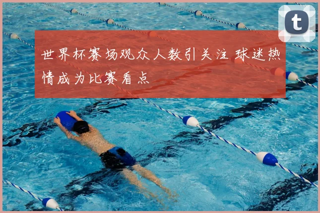 世界杯赛场观众人数引关注 球迷热情成为比赛看点