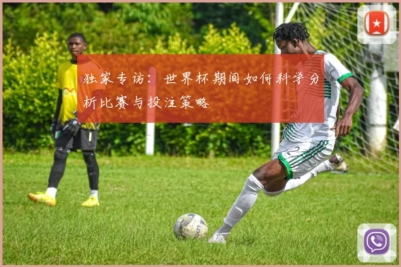 独家专访：世界杯期间如何科学分析比赛与投注策略
