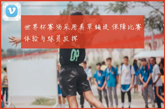 世界杯赛场采用真草铺设 保障比赛体验与球员发挥