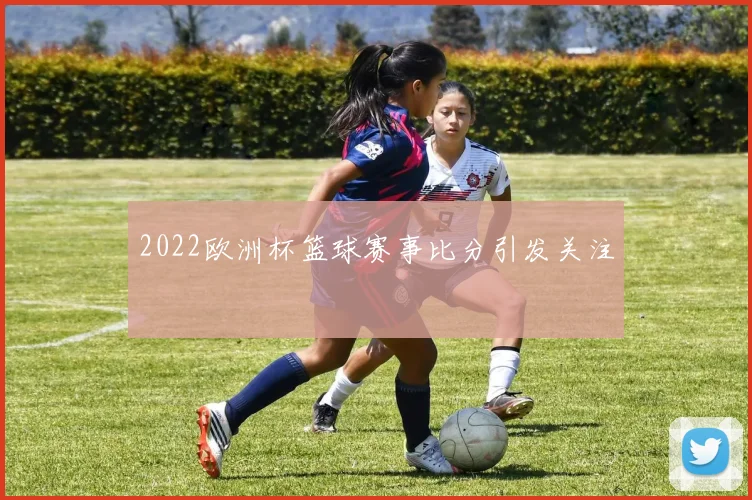 2022欧洲杯篮球赛事比分引发关注
