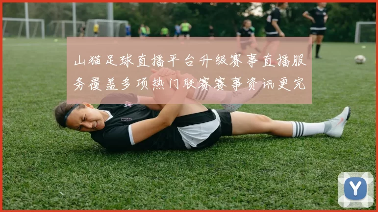 山猫足球直播平台升级赛事直播服务覆盖多项热门联赛赛事资讯更完整