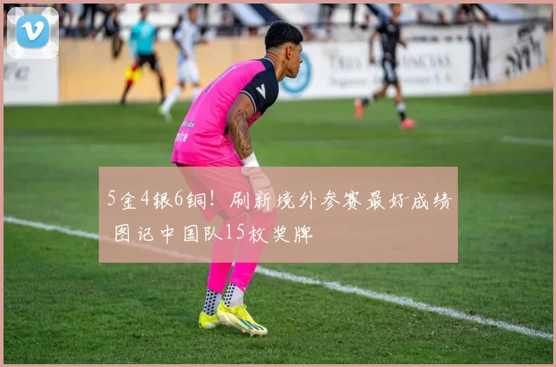 5金4银6铜！刷新境外参赛最好成绩 图记中国队15枚奖牌