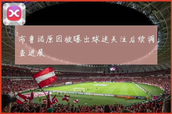 布鲁诺原因被曝出球迷关注后续调查进展