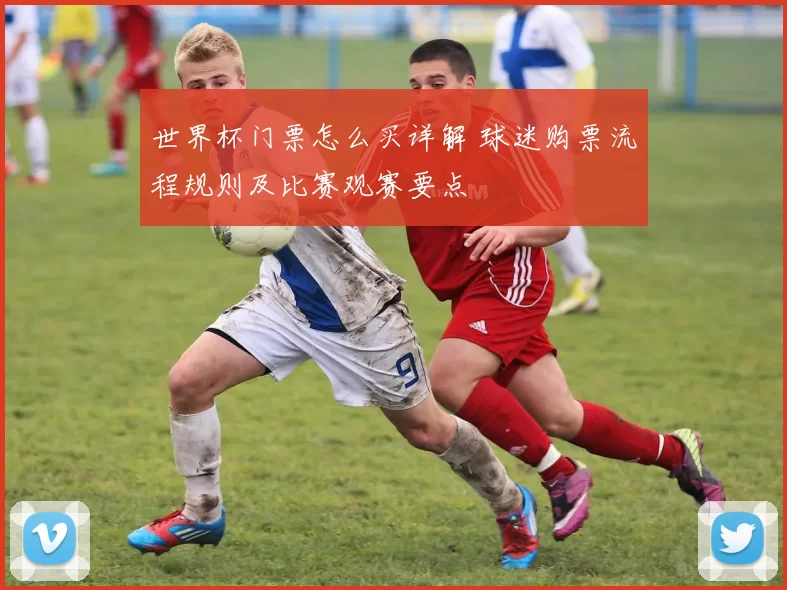 世界杯门票怎么买详解 球迷购票流程规则及比赛观赛要点