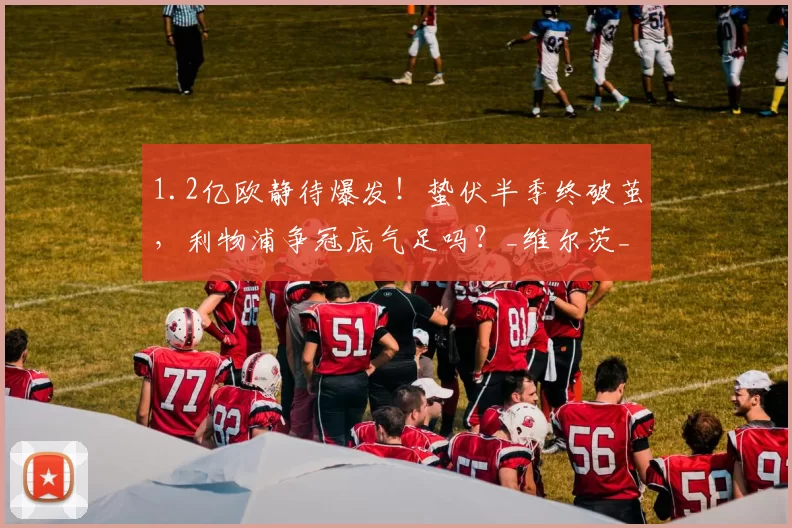 1.2亿欧静待爆发！蛰伏半季终破茧，利物浦争冠底气足吗？_维尔茨_英超_德甲