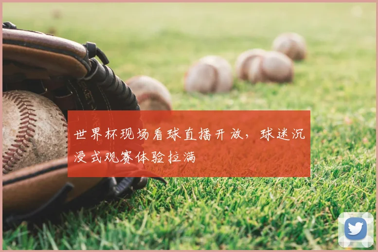 世界杯现场看球直播开放,球迷沉浸式观赛体验拉满