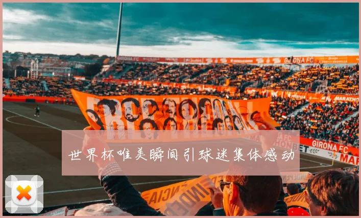 世界杯唯美瞬间引球迷集体感动