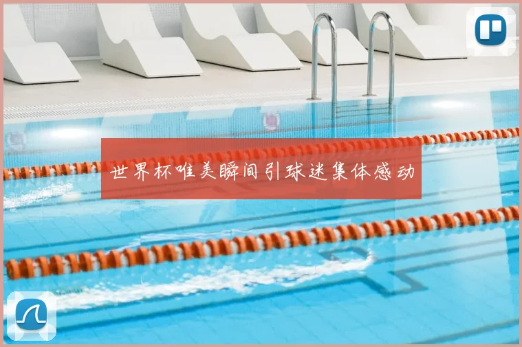 世界杯唯美瞬间引球迷集体感动