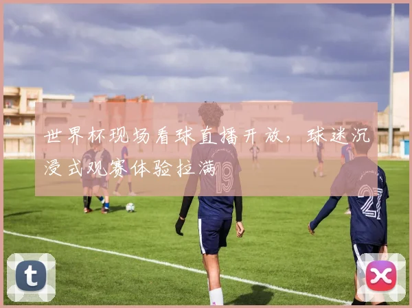 世界杯现场看球直播开放,球迷沉浸式观赛体验拉满